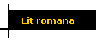 Lit romana