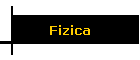 Fizica