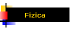Fizica
